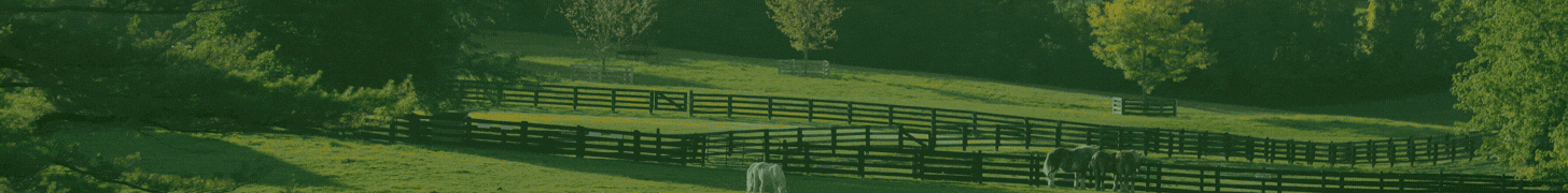 AG Market Show Banner Ad