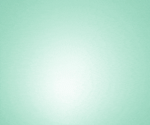 Anthem Broadband 2 300×250